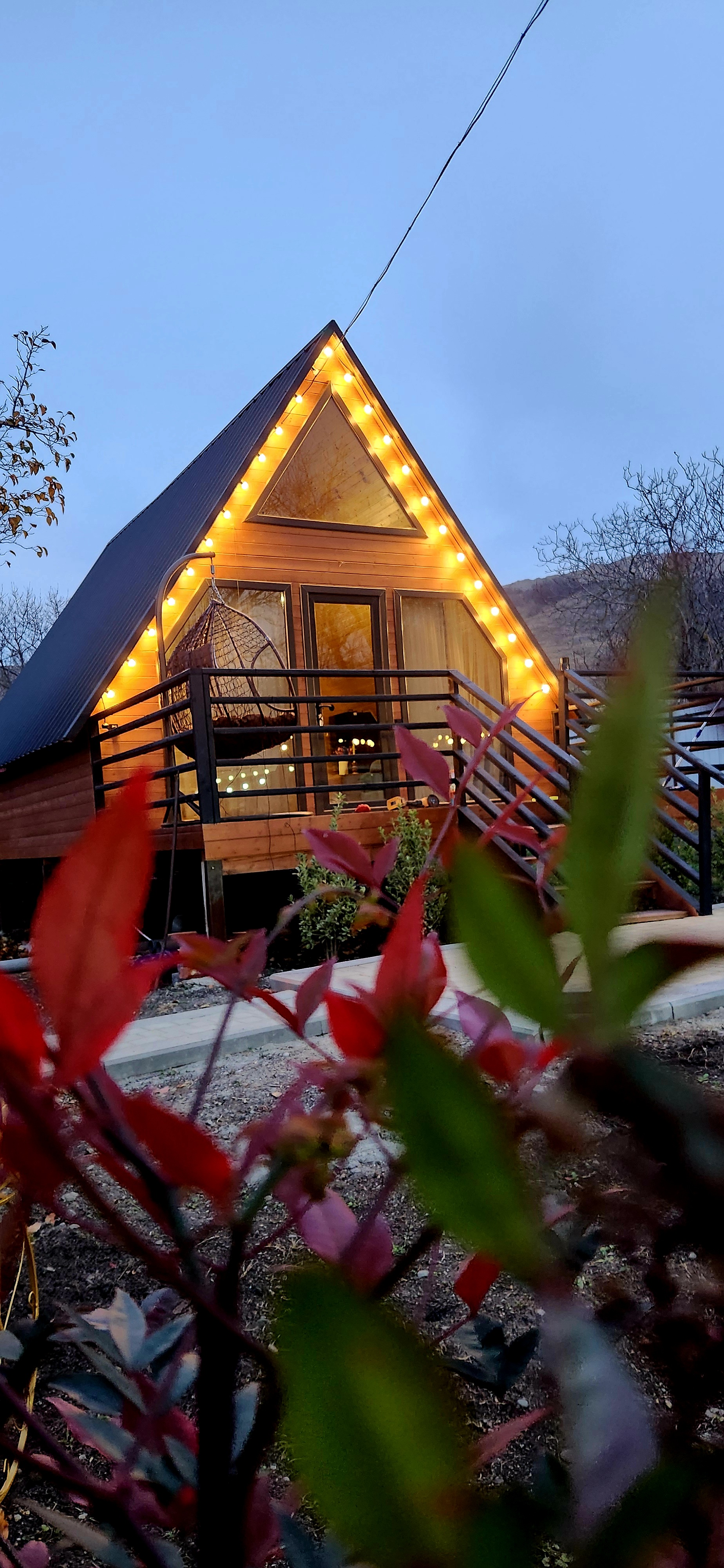 კოტეჯი - photo 1