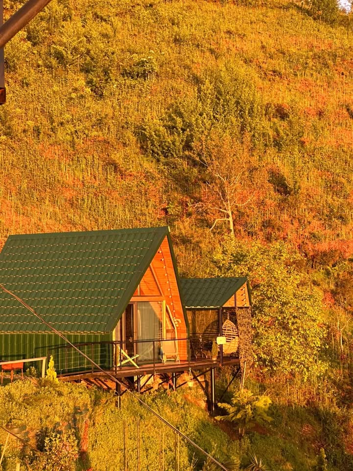 Silent Hill - მშვიდი გორა - photo 1