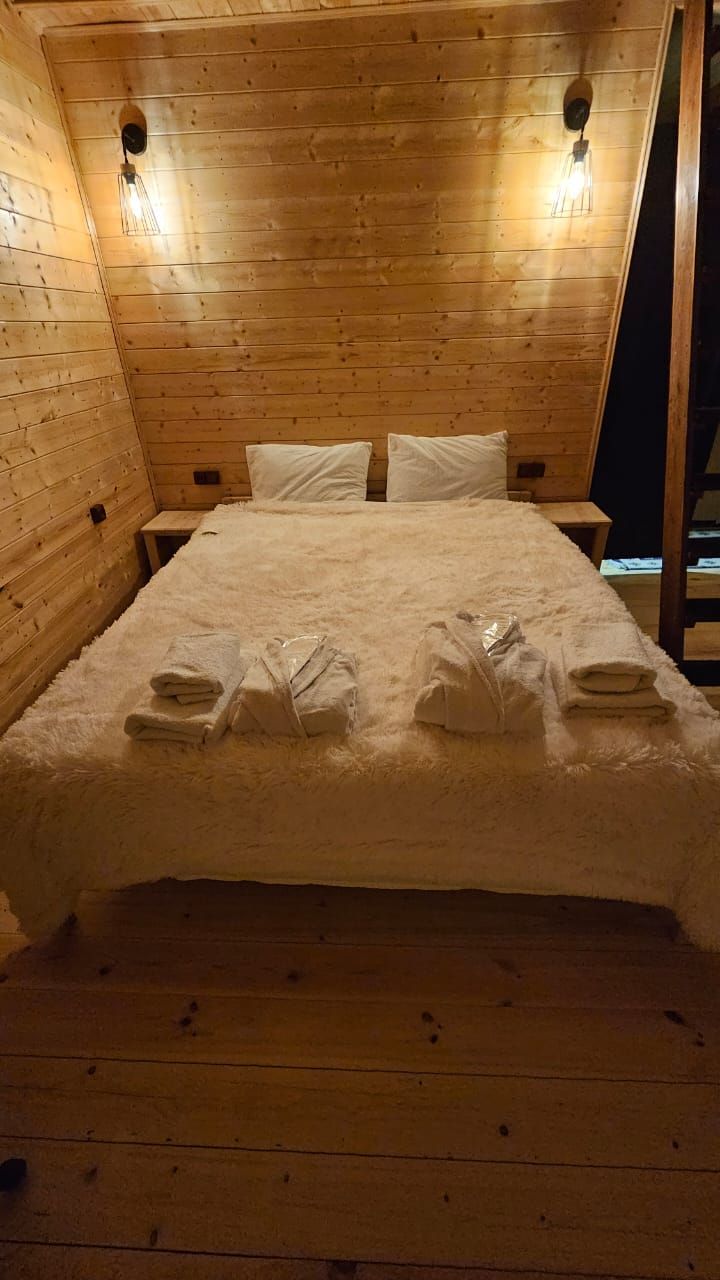 Mood villa kazbegi