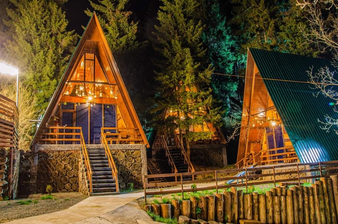 Forest Mood / ტყის განწყობა N2